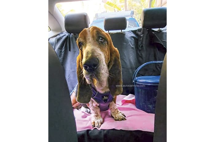 Volkswagen Virtus GT long term review, 12,000 km report